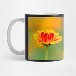 Marigold mornings and wildflower afternoons Mug